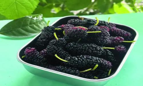 適合秋季食用的水果