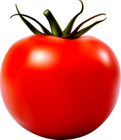 西紅柿生吃好,還是熟吃好